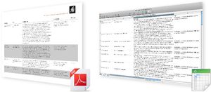 Webkataloge Report PDF Excel